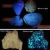 365nm uv light
