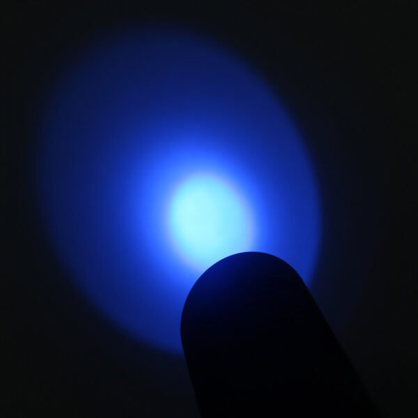 Best 365 nm uv flashlight led torch lamp