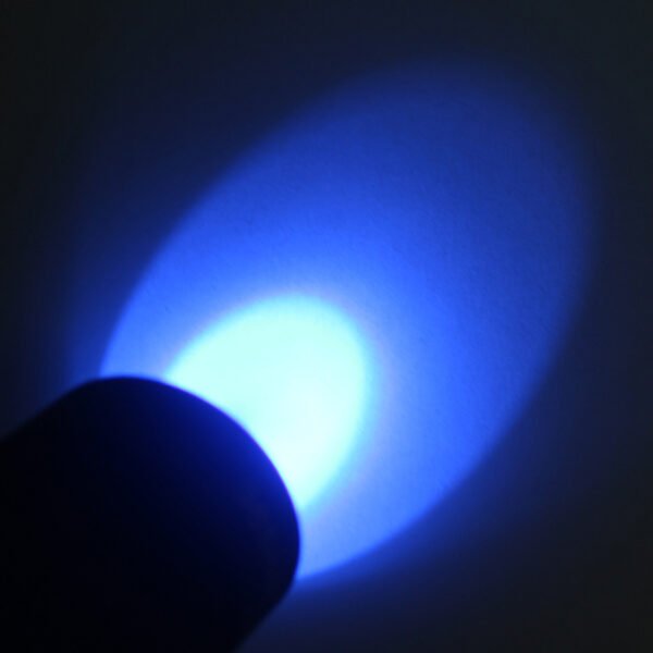 UV black lights