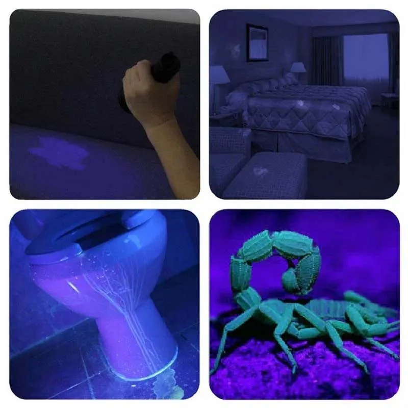365nm UV light for fluorescence detection