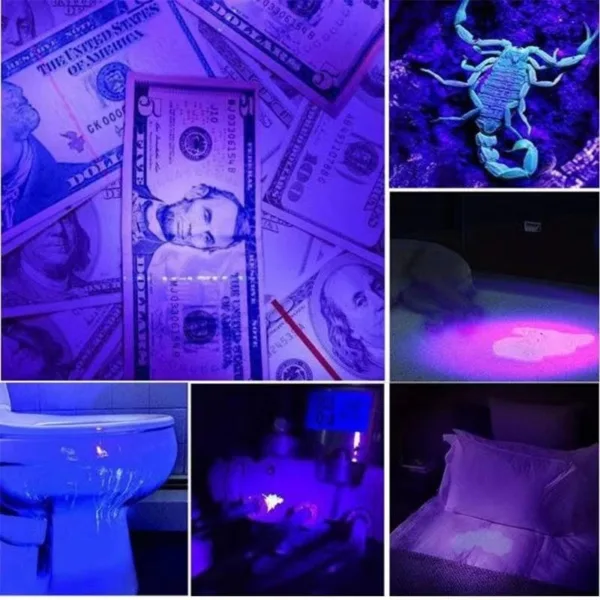 365 nm UV Light 365 nm UV Light