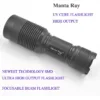 365nm UV Light 365nm UV Light