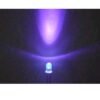 lamps uv light