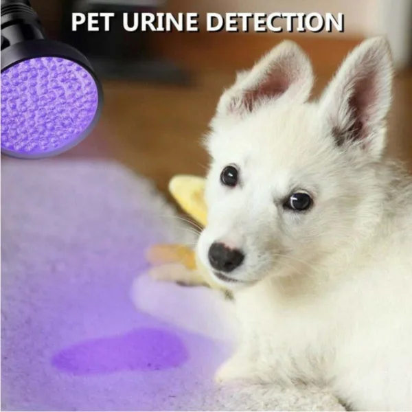 uv black light flashlight