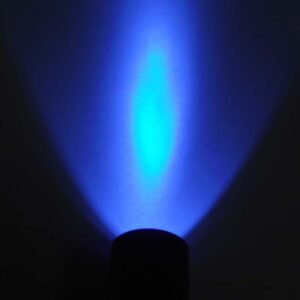 uv and blacklight