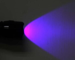 black uv lamp