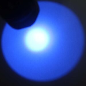 best uv flashlight 