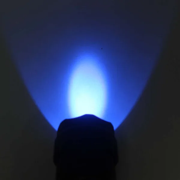 uv blacklight flashlight​