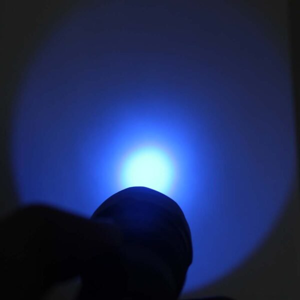 best uv blacklight 365nm led torch flashlight