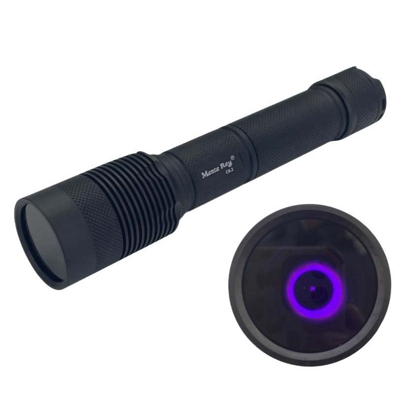 Does UV Light Kill Bed Bugs