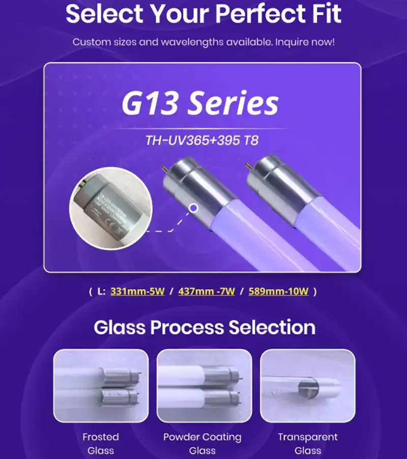 black light bulbs t8