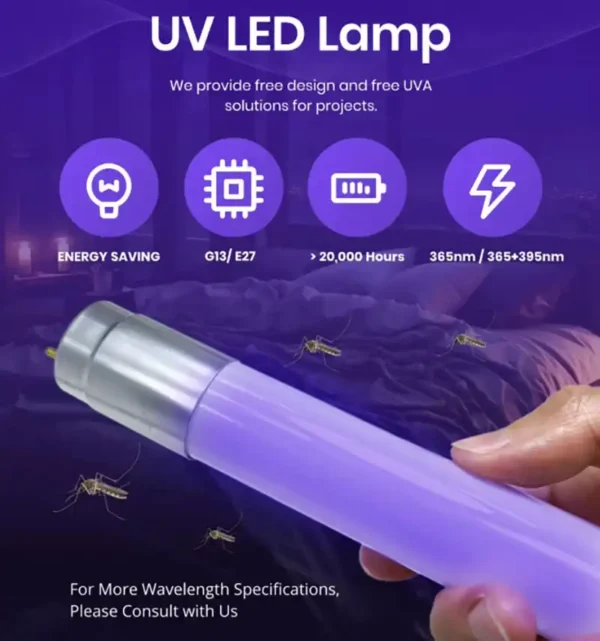 9 black light bulbs t8