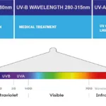does uv light kill mold