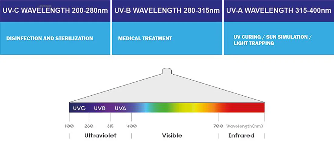 does uv light kill mold