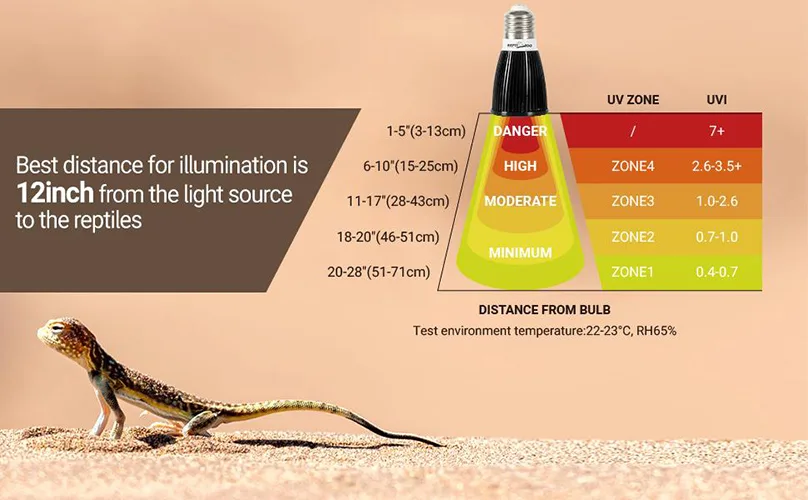 UVB lighting setup in leopard gecko enclosure