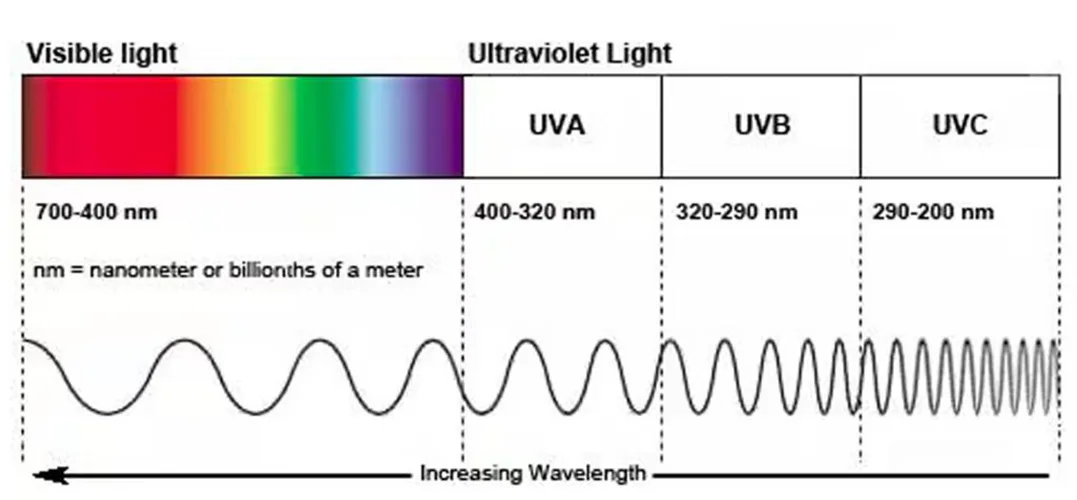 Do plants need UV light