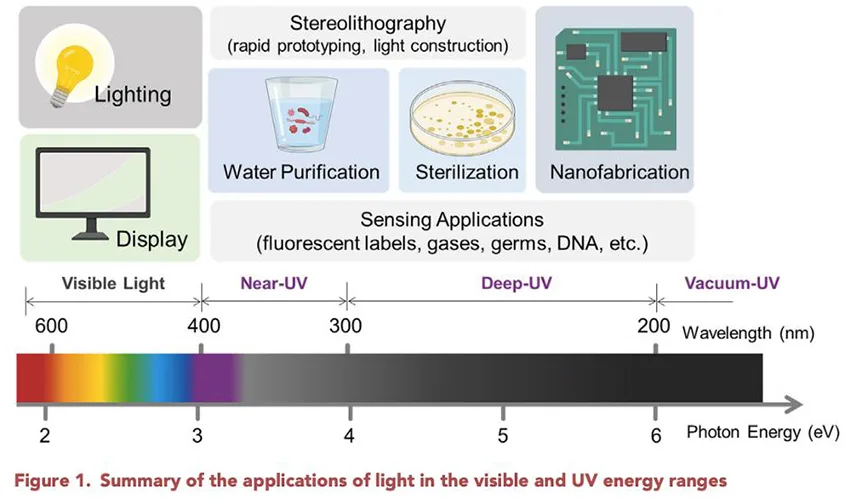 What Is UV Light Used For