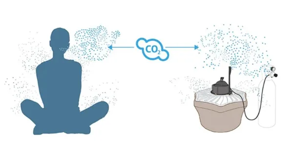 mosquito attracted to human through CO2 and heat