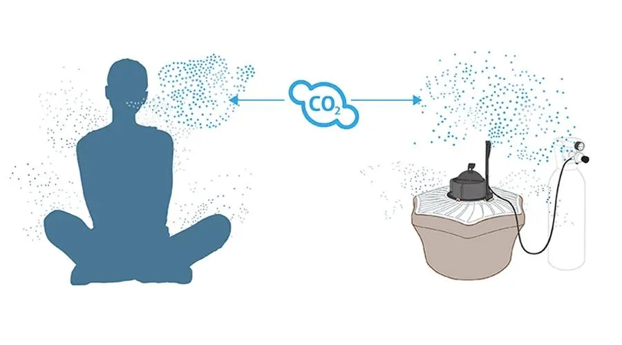 mosquito attracted to human through CO2 and heat