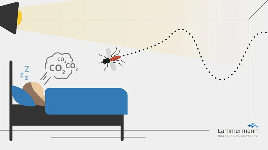 are mosquitoes attracted to UV light