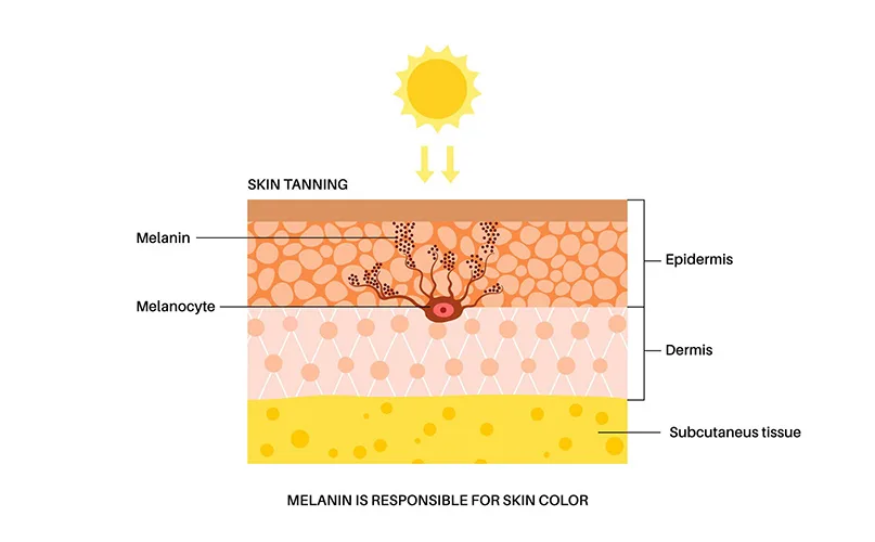 UVA and UVB penetration into skin layers for tanning