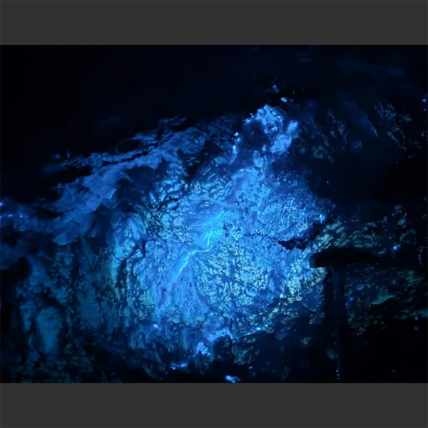 Scheelite Fluorescent under 254 nm light 2 Scheelite Fluorescent under 254 nm light